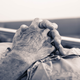 Imagen: ShutterB / Shutterstock
